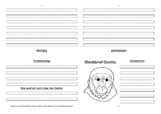 Gorilla-Faltbuch-vierseitig-2.pdf